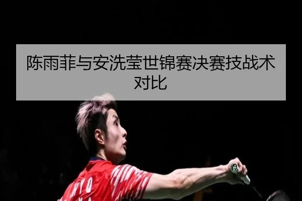 陈雨菲与安洗莹世锦赛决赛技战术对比